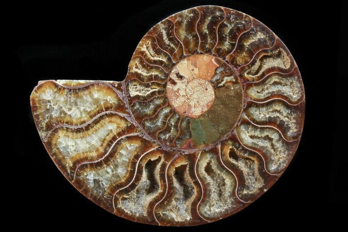 Agatized Ammonite Fossil (Half) #78404